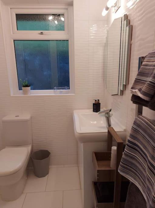 Riverside Retreat Llandysul 외부 사진