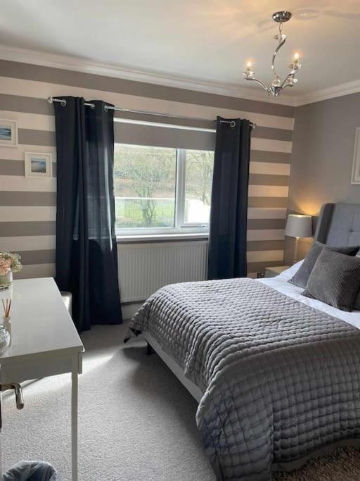 Riverside Retreat Llandysul 외부 사진