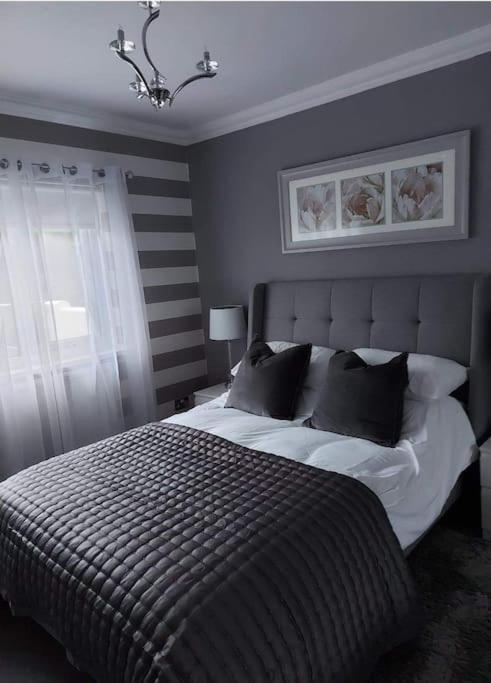 Riverside Retreat Llandysul 외부 사진