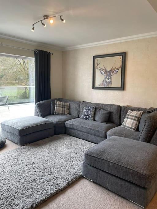Riverside Retreat Llandysul 외부 사진